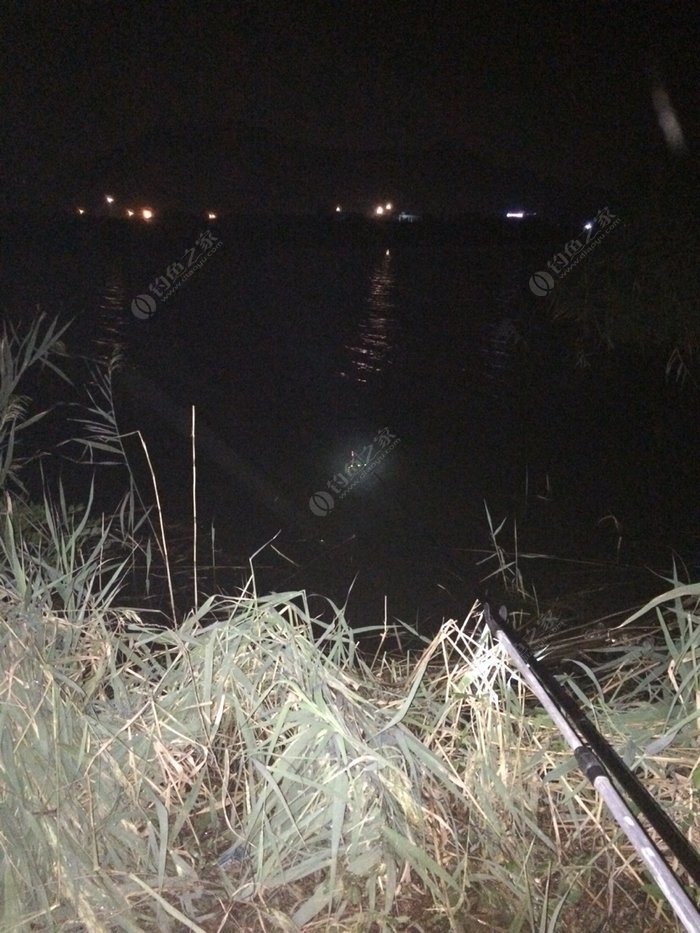 夜里的河边一个人默默的钓着鱼