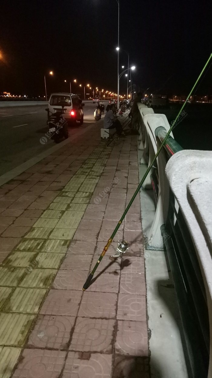 新阳大桥钓鱼
