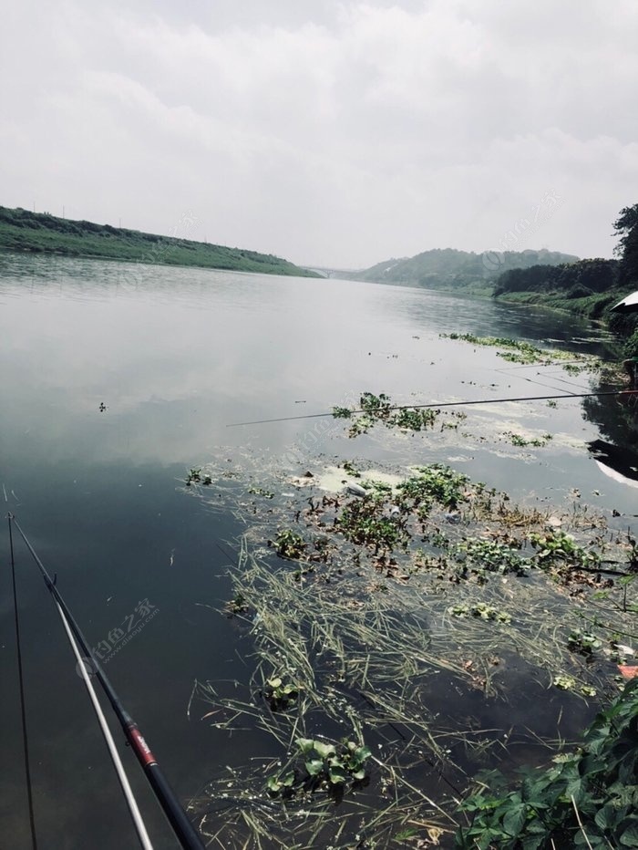 浏阳河阴阳山下的回水湾