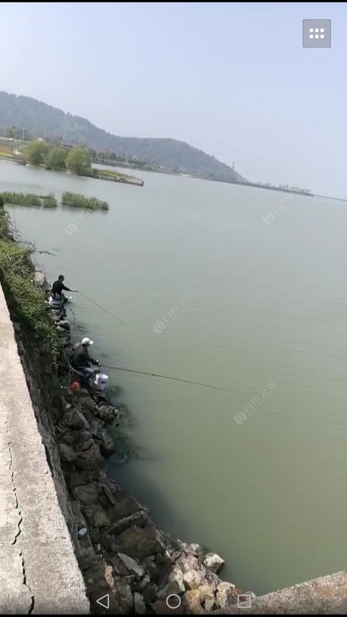 西山碧螺春,太湖石堤钓鱼,惬意