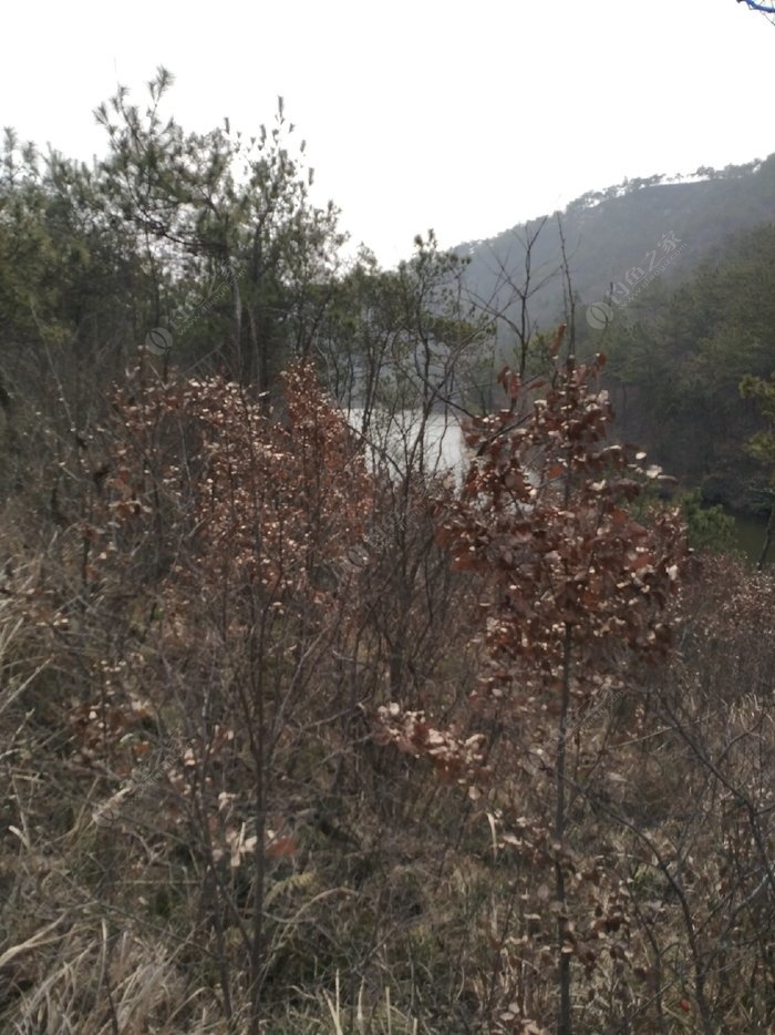 阳春有多少人口_阳春市山坪有多少人口