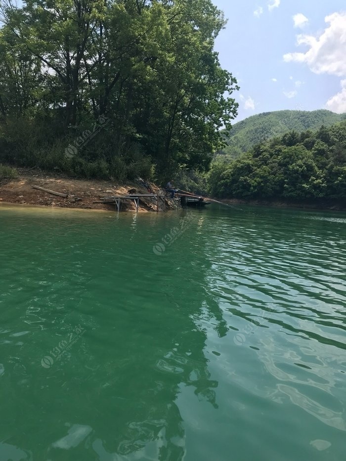 太平湖曙光半岛野钓场 - 钓鱼之家