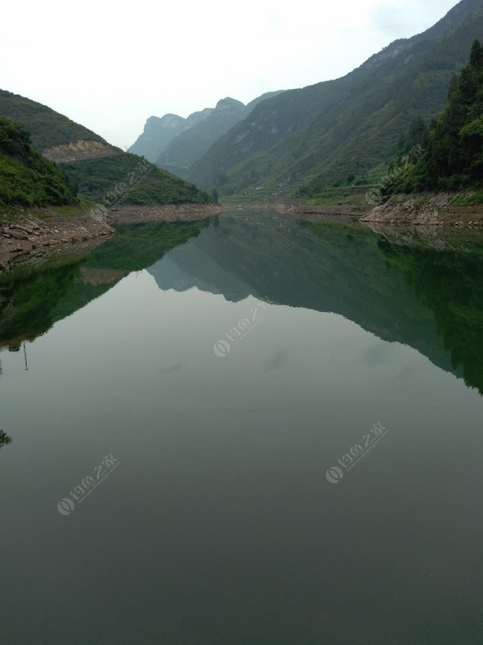 桐梓县有多少人口_桐梓两名自强女孩上央视了