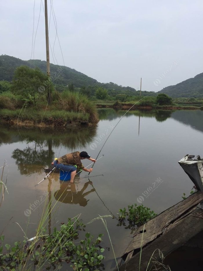 休闲假跑到千里之外的东山岛钓鱼去之鲤鱼篇 自制饵料