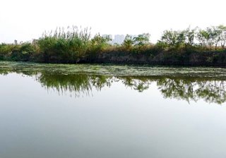 吴淞河港湾