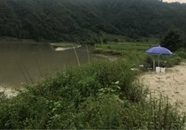龙川江天气预报