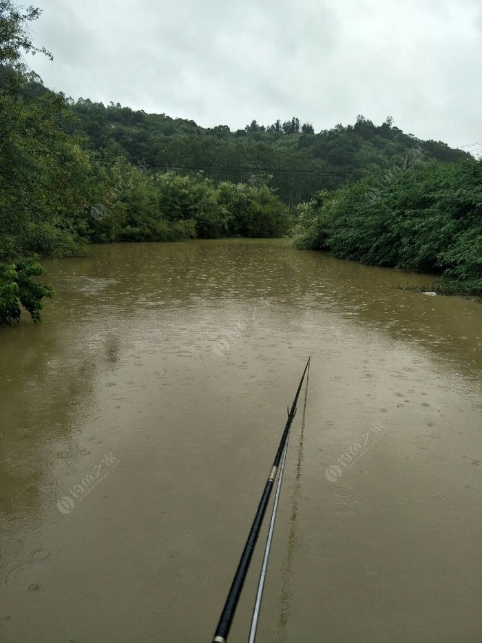 就算下雨也要去钓鱼