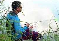 《渔道中国》62期 金龙老窖粮窝钓草鱼
