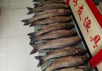 好友魚具