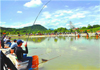 釣友分享臺(tái)釣鯽魚(yú)和鯉魚(yú)的細(xì)節(jié)經(jīng)驗(yàn)