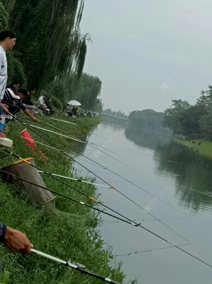 永定河钓鱼图片