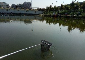 省水产院钓鱼中心