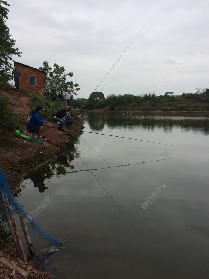 大岩口水库图片