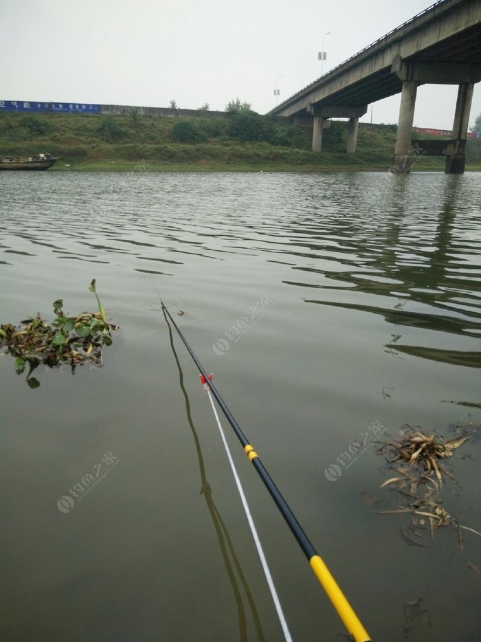 這就是釣魚人!