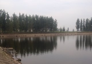 殷红渠河