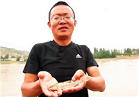 《钩尖上的中国》20161120 黄河探钓鸽子鱼