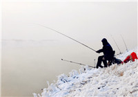 钓友详解冬季为何是最佳钓鱼季节（二）
