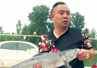 《黑坑江湖》第六季22集 北京釣大物（上）