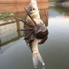 Fishing_j