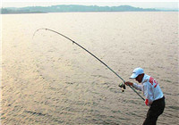 解析抛竿与海竿钓鱼的四个技巧