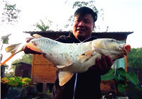 《漁道中國》86期 小鉤細線 巧遇三青臺大鯉魚