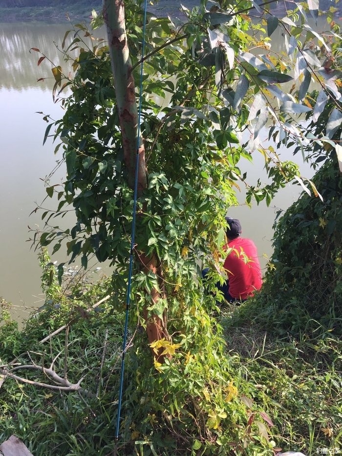 首次到沧江河野钓