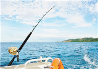 海钓矶钓最常用的8种钓法