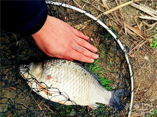 水庫(kù)釣魚(yú)技巧