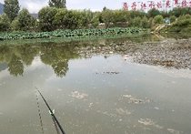 丹江河天气预报