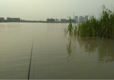童湖