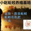 小人物擁有小的夢(mèng)