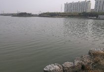 昭阳湖天气预报