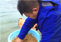 《我的7日江湖》第二季03期 萬峰湖水位上漲 遭遇作釣大危機（下）