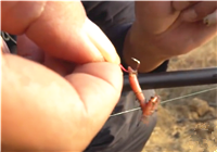 《聽李說漁》 第二季11 傳統釣法關于蚯蚓和紅蟲餌的使用