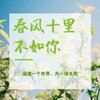 重置昵称_uQYAaSLc