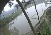 泸州石洞生态鱼塘天气预报
