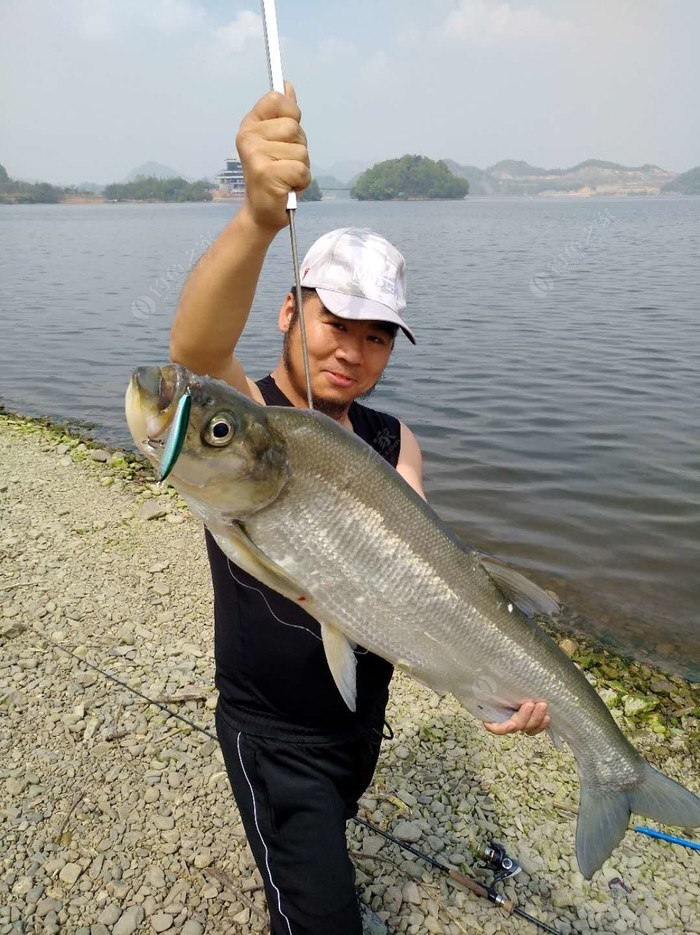 问道阳光鱼本人照片图片