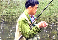 《三本先生》传统钓第56期 雨天浅沟垂钓鲫鱼