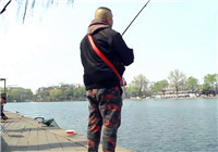 《去釣魚》第159期 北京城內休閑釣魚好去處