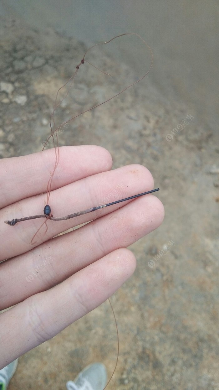 釣魚竿子沒事,怎料陰溝翻船了