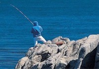 海釣技巧之釣泥猛魚的漁具技巧