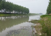 渔沟镇东大河天气预报