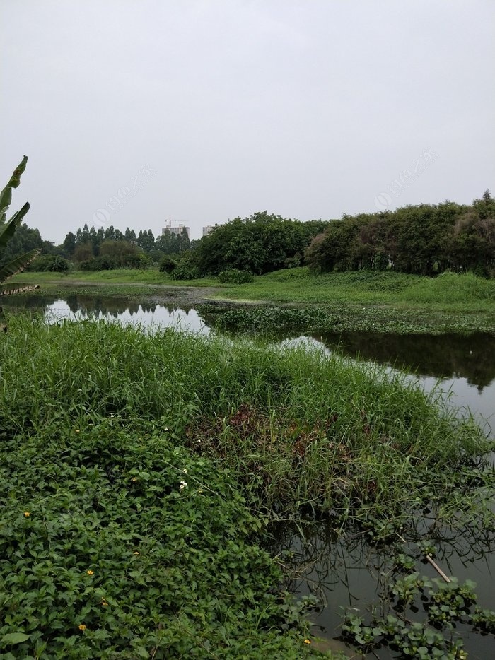 发现野塘,实地勘察有鱼