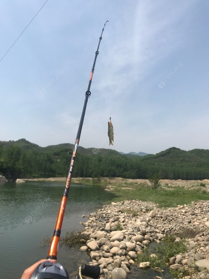昭平台水库钓鱼图片
