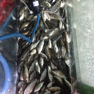 渔乐鱼具专卖店