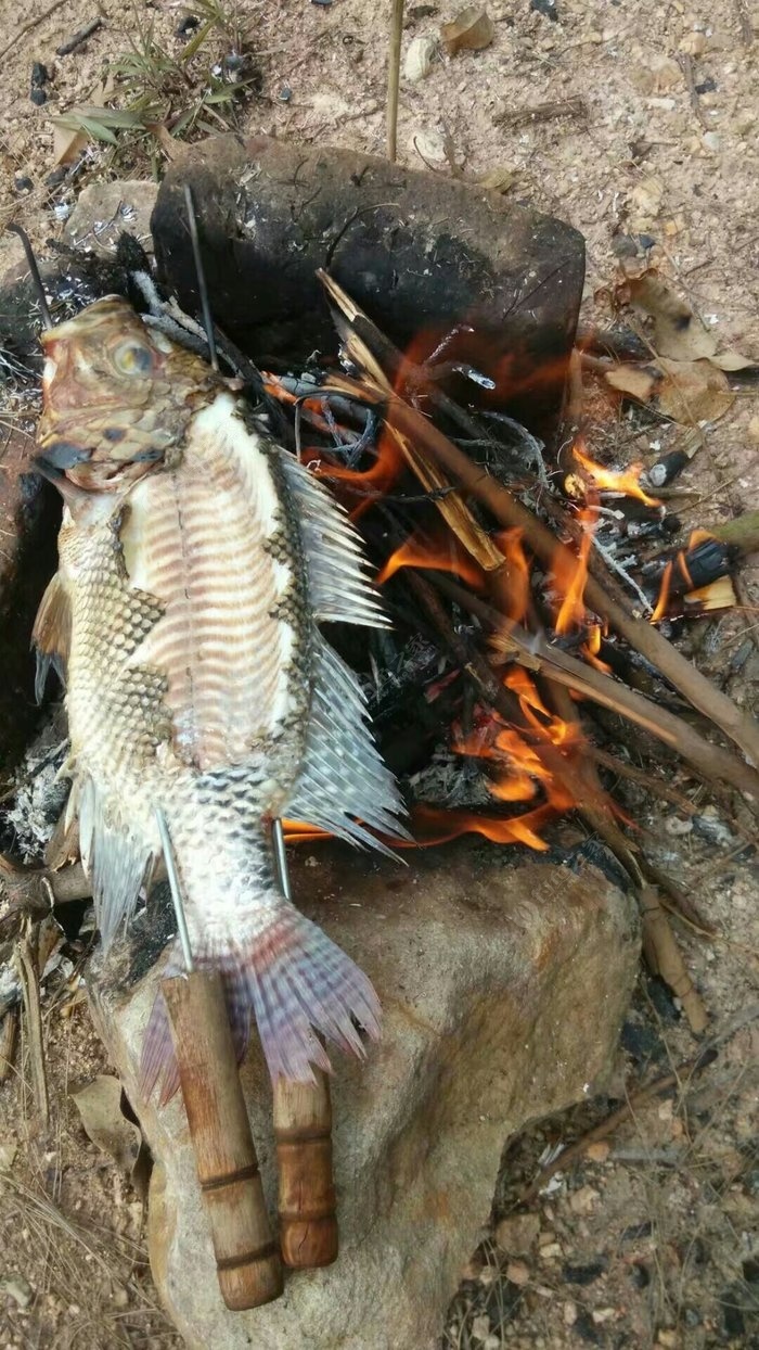 原生態烤魚