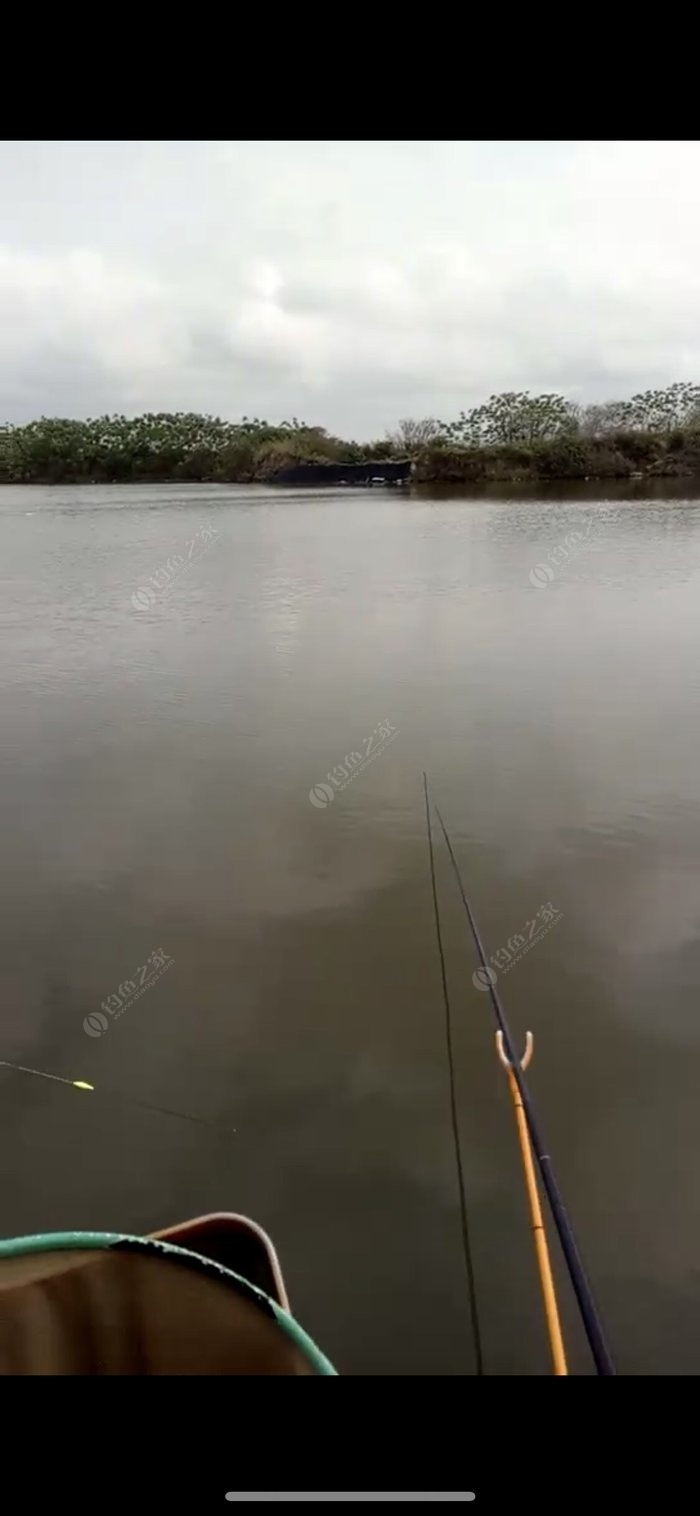 高难度钓点,一人包场,渔获一般