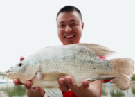 《二炮手時間》第09期 江西興國紅鯉魚