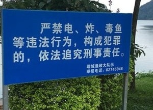 增江河天气预报