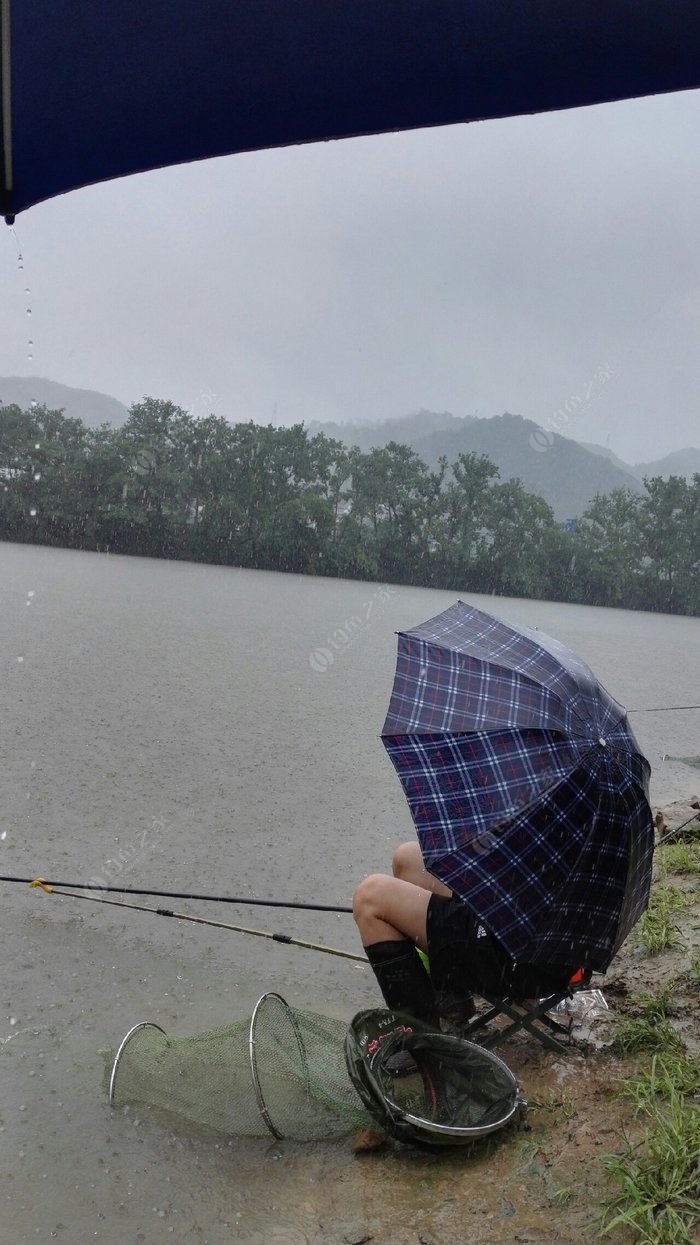 雨中垂钓图片图片